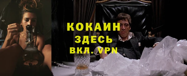 гашик Абинск