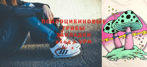 гашик Абинск
