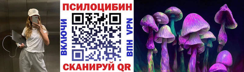 Псилоцибиновые грибы мицелий  Чулым 